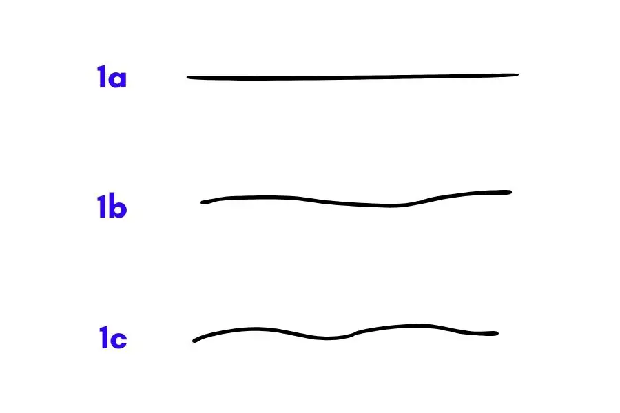 Difference Between Type 1a, 1b, and 1c
