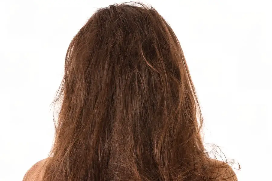 What Is Hair Porosity